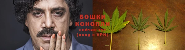 spice Алзамай