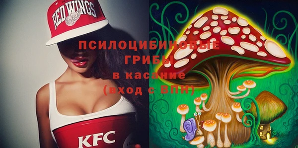 spice Алзамай
