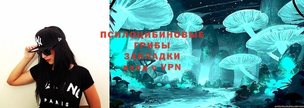 сатива Алексеевка