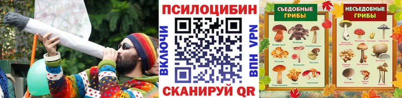 как найти   Зарайск  Псилоцибиновые грибы ЛСД 